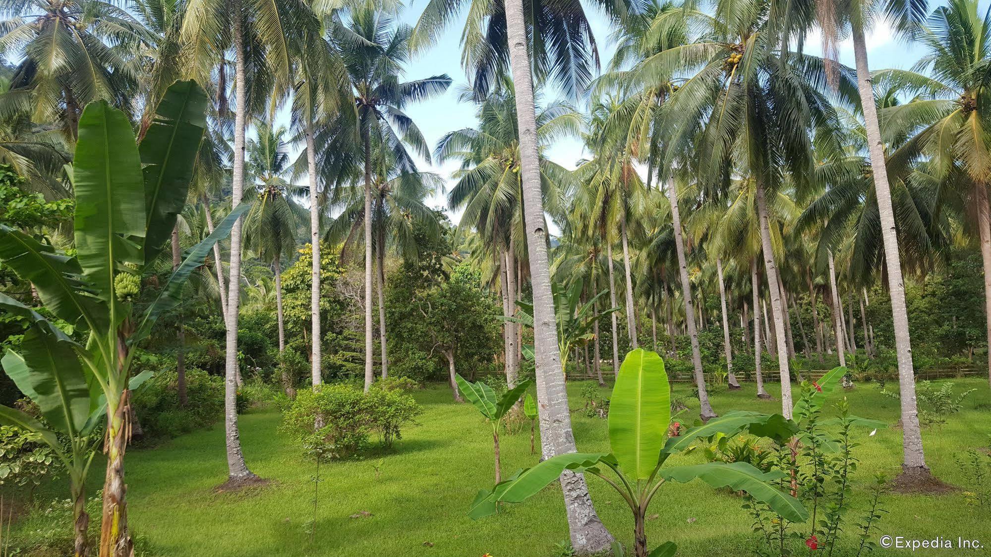 Mangrove Resort Puerto Princesa Extérieur photo